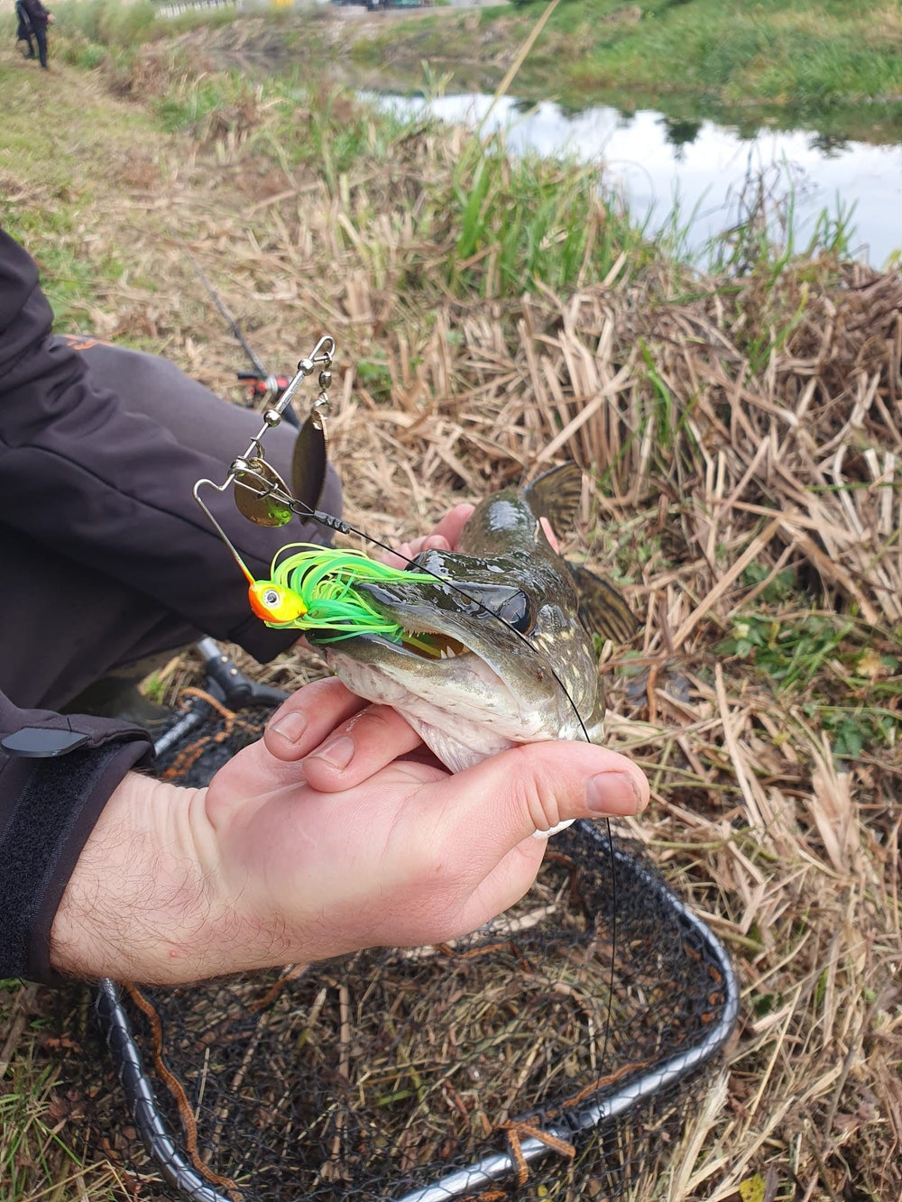 PLUK Spinnerbait 7g